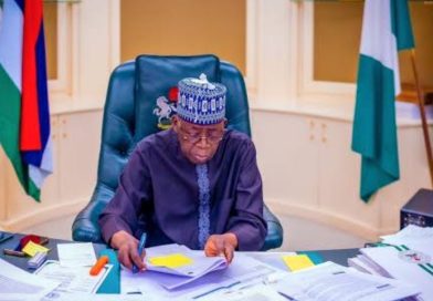 TDF Defends Tinubu, Faults Baba-Ahmed Over Hardship Claims