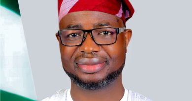 Nigeria Pushes Stronger Diaspora Engagement, Migration Governance at IMRF 2026
