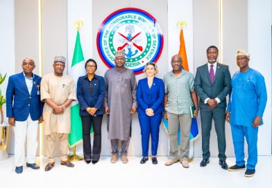 Defence Minister Commends ICRC for Humanitarian Support in North-East Nigeria