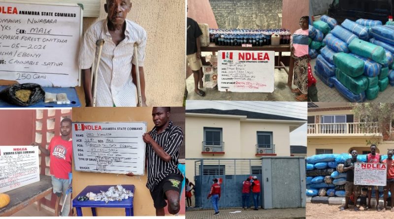 NDLEA Arrests Three Persons With Disability for Drug Trafficking, Uncovers N5.8bn Loud Cannabis Stash in Lekki NDLEA Arrests Three Persons With Disability for Drug Trafficking, Uncovers N5.8bn Loud Cannabis Stash in Lekki