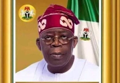 TSF Applauds Tinubu’s $500m Innovation Fund, Says Move Will Drive Industrial Growth