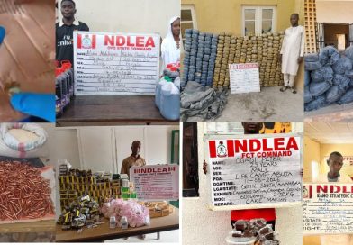NDLEA Foils Overseas Cocaine Smuggling, Destroys Massive Cannabis Farms in Delta, Finds Bullets in Garri