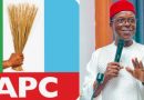 Jubilation as Patrick Chiwuba Ndubueze Emerges APC Candidate for Imo North Senatorial Zone