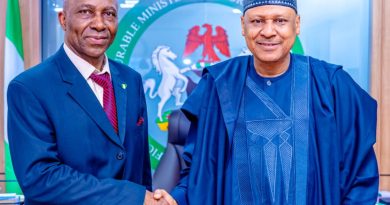 Tax Ombud Central to Tinubu’s Drive for Fair, Transparent Tax System — Information Minister