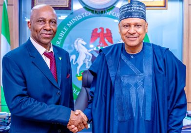 Tax Ombud Central to Tinubu’s Drive for Fair, Transparent Tax System — Information Minister