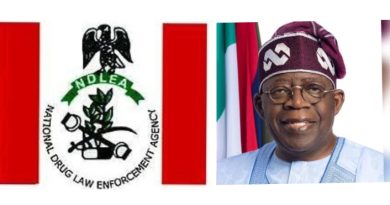 Tinubu Appluads NDLEA Over Bust of Nigerian-Mexican Drug Cartel, $360m Seizure