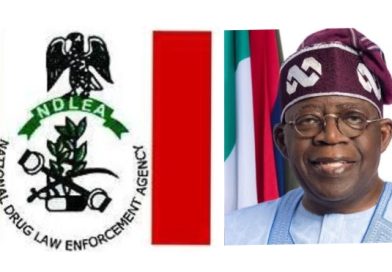 Tinubu Appluads NDLEA Over Bust of Nigerian-Mexican Drug Cartel, $360m Seizure