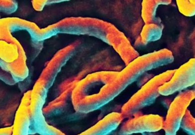 FAAN Heightens Ebola Surveillance at International Airports