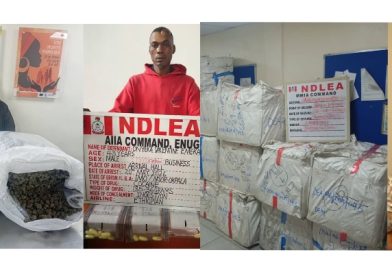 NDLEA Arrests Chinese Woman Over Drug Smuggling at Lagos Airport, Seizes N2.1bn Opioids Shipment