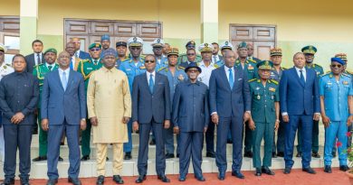 Nigeria, Cameroon Sign Defence Pact to Boost Border Security, Maritime Cooperation