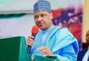 Nigeria Commitment to Democratic Governance, National Unity- Idris 