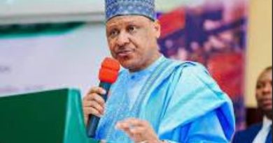 Nigeria Commitment to Democratic Governance, National Unity- Idris 