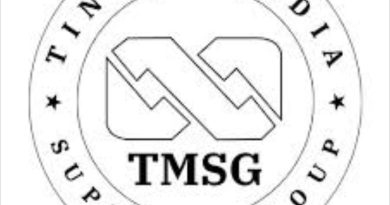 New minimum wage by Governors is a testament to efficacy President Tinubu’s economic reforms-TMSG