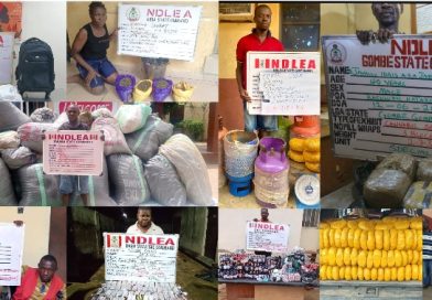 NDLEA Intercepts Businessman with Cocaine-Laced Shirts from Brazil, Arrests Drug Suspects Across States NDLEA Intercepts Businessman with Cocaine-Laced Shirts from Brazil, Arrests Drug Suspects Across States