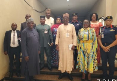 TCN, ONSA, NSCDC Intensify Joint Efforts to Protect Power Infrastructure from Vandalism