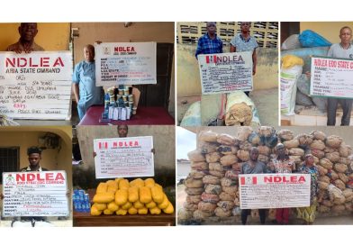 NDLEA Arrests Two Elderly Drug Dealers for Supplying Students, Seizes Illicit Consignments Across Nigeria