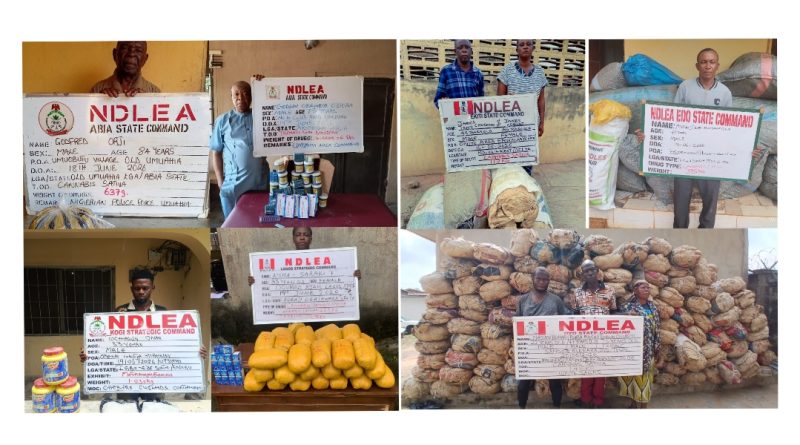 NDLEA Arrests Two Elderly Drug Dealers for Supplying Students, Seizes Illicit Consignments Across Nigeria