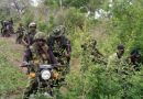 Group hails President Tinubu for elimination of over 13,000 terrorists in one year