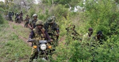 Group hails President Tinubu for elimination of over 13,000 terrorists in one year