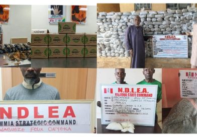 How NDLEA Arrested 67-Year-Old Nigerian-British Grandma with 13kg Cocaine Hidden in Plantain Peels intercepted Cocaine in Orijin bitters cartons, How NDLEA Arrested 67-Year-Old Nigerian-British Grandma with 13kg Cocaine Hidden in Plantain Peels intercepted Cocaine in Orijin bitters cartons,