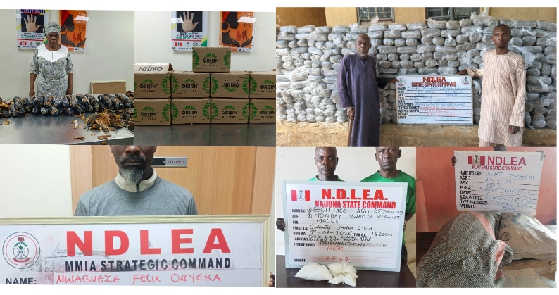 How NDLEA Arrested 67-Year-Old Nigerian-British Grandma with 13kg Cocaine Hidden in Plantain Peels intercepted Cocaine in Orijin bitters cartons, How NDLEA Arrested 67-Year-Old Nigerian-British Grandma with 13kg Cocaine Hidden in Plantain Peels intercepted Cocaine in Orijin bitters cartons,