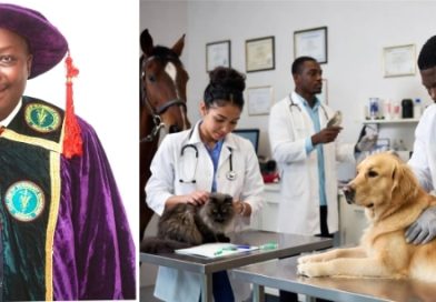 Why Veterinary Regulation Is Critical to Nigeria’s Economic Growth Why Veterinary Regulation Is Critical to Nigeria’s Economic Growth