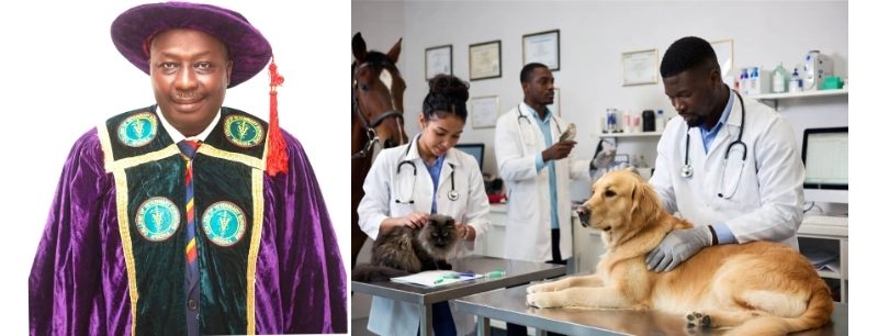 Why Veterinary Regulation Is Critical to Nigeria’s Economic Growth Why Veterinary Regulation Is Critical to Nigeria’s Economic Growth