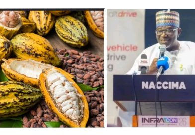 Value Addition: NACCIMA Applauds Tinubu’s Ban on Raw Cocoa Exports, Pushes for Value-Driven Industrial Growth Value Addition: NACCIMA Applauds Tinubu’s Ban on Raw Cocoa Exports, Pushes for Value-Driven Industrial Growth