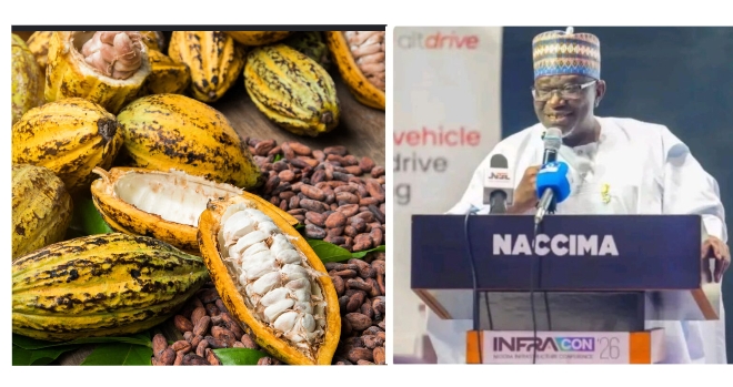 Value Addition: NACCIMA Applauds Tinubu’s Ban on Raw Cocoa Exports, Pushes for Value-Driven Industrial Growth Value Addition: NACCIMA Applauds Tinubu’s Ban on Raw Cocoa Exports, Pushes for Value-Driven Industrial Growth