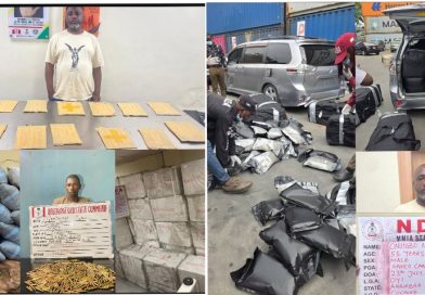 NDLEA Intercepts ₦10bn Cocaine, Loud, Opioids; Arrests Drug Kingpins, Seizes Military Ammunition