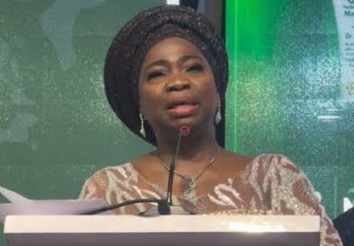 Nigeria Diaspora Day Celebration: Back-to-Back Events Reflect Abike Dabiri-Erewa’s Commitment to Engaging Nigerians Abroad