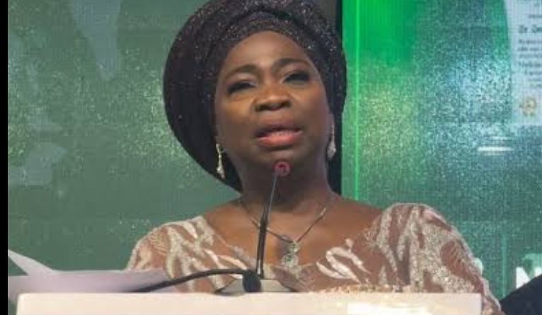 Nigeria Diaspora Day Celebration: Back-to-Back Events Reflect Abike Dabiri-Erewa’s Commitment to Engaging Nigerians Abroad