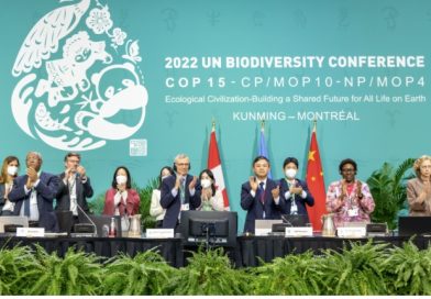 Countries to Review First Global Biodiversity Progress Report Ahead of COP17