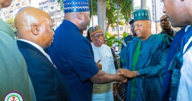 FG Strengthens Security to Make Nigeria Safer for Diaspora Visits — Defence Minister