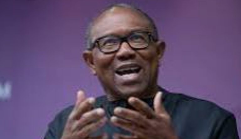Peter Obi at the Contest of Yoruba and Igbo Beans: The Nkechinyere Rhodes-Vivour Lesson Peter Obi at the Contest of Yoruba and Igbo Beans: The Nkechinyere Rhodes-Vivour Lesson