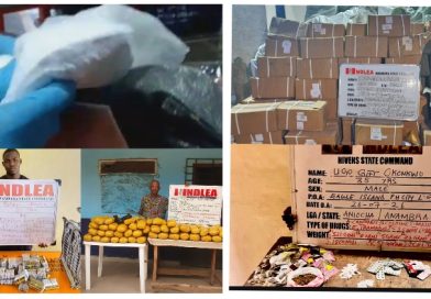 NDLEA Intercepts Cocaine Hidden in Mortar, Backpack Bound for China, Italy; Arrests Drug Kingpin, Bandits’ Supplier