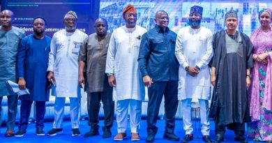 Tinubu’s Industrialisation Agenda Delivering Jobs, Innovation, Projects — Information Minister