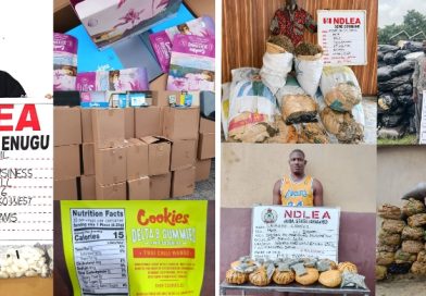 NDLEA Nabs, Italy-Based Businessman Excretes 98 Cocaine Wraps at Enugu Airport, Arrestes Drug Offenders NDLEA Nabs, Italy-Based Businessman Excretes 98 Cocaine Wraps at Enugu Airport, Arrestes Drug Offenders