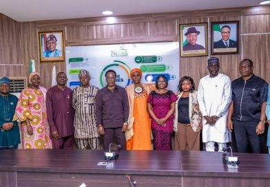 NiMet, NCC, NARSDA, NEMA, NiSHA, UNDRR Meet Ahead of EW4All Nigeria Launch