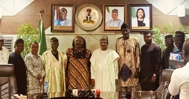 FG Backs NIPSS Drive to Unlock Nigeria’s Orange Economy