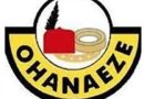 Ohanaeze Ndigbo Disowns Unauthorised ‘Igbo Day’ in Abuja, Sets FCT Election for October 24