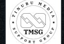TMSG: Tinubu’s Five-Port Trade Corridor Will Spread Development, Boost National Productivity