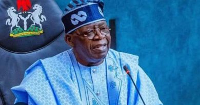 Tinubu Is Breaking Mono-Economy Narrative with N12.59trn Trade Surplus — TMV