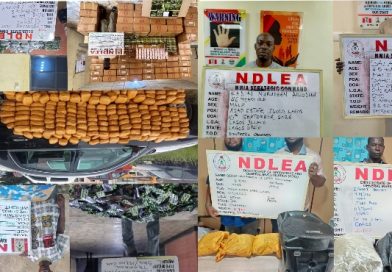 NDLEA intercepts Colos shipments from UK, uncovers opioids in bread, speakers