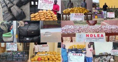 NDLEA Intercepts N3.4bn Worth of Cannabis, Opioids, Arrests Fake Police Officer