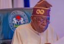 FG Sets Up Panel to Probe Deaths of 37 Suspected Illegal Miners in Niger State, Releases Names of Suspended Officers