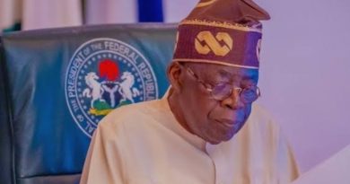 FG Sets Up Panel to Probe Deaths of 37 Suspected Illegal Miners in Niger State, Releases Names of Suspended Officers