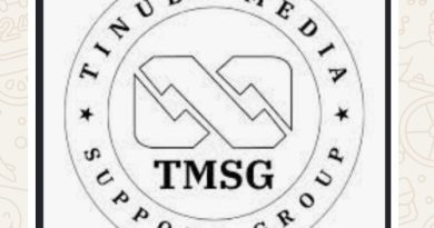 TMSG: Rising Foreign Investment Reflects Tinubu’s Pro-Business Approach