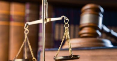 Mambilla ruling protects Nigeria’s finances, opens new economic possibilities — TSF