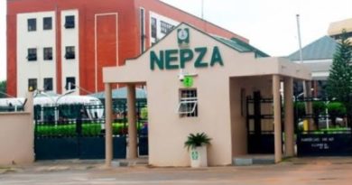 NEPZA MD Reaffirms Commitment to Lawful FTZ Operations, Announces Tougher Stance on Illegal Container Importation